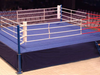 Боксёрский ринг, канаты, подушка, напольное покрытие, боксёрская груша, макивара, настенная подушка foto 1
