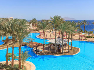 Египет - Горит Тур - Grand Rotana Resort & Spa 5*