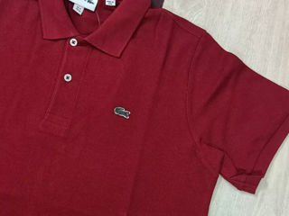 Lacoste polo foto 3