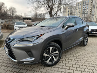 Lexus NX Series