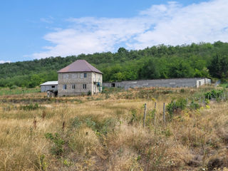 Fermă de Animale, Teren 65 ari, Casa fermierului, Bulboaca, Anenii Noi  / Vânzare-Schimb foto 8