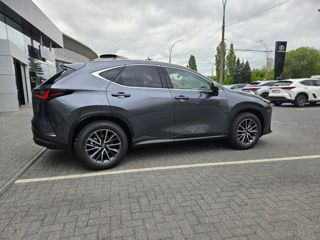 Lexus NX Series foto 8