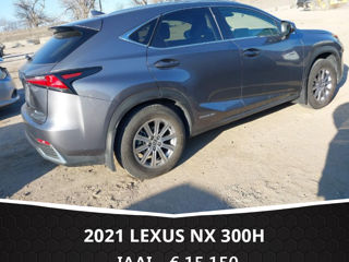 Lexus NX Series foto 3