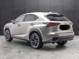 Lexus NX Series foto 4