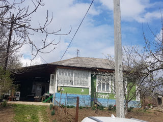 Se vinde casa in satul Napadeni foto 8