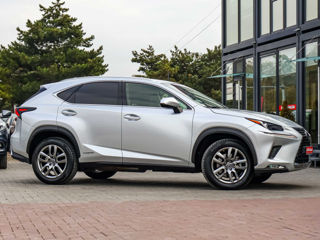 Lexus NX Series