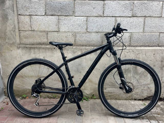 MTB Bulls LT XC 29