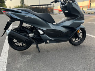 Honda Pcx foto 4