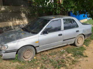 Nissan Sunny foto 2