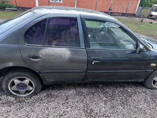 Nissan Primera foto 3