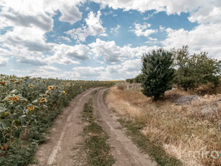 Se oferă spre vânzare teren destinație agricolă amplasat în s. Sângera foto 7