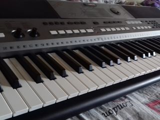 Yamaha E443 foto 2