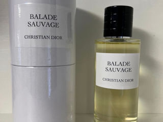 Balade Sauvage Dior