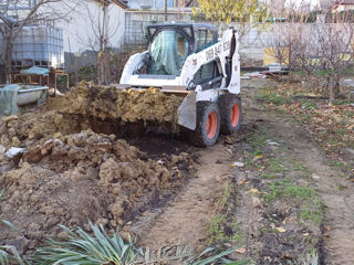 BOBCAT!