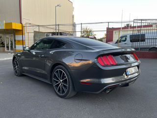 Ford Mustang foto 5