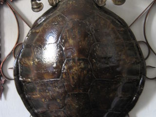 Антикварные  часы с боем (бронза), светильник,каска,утюг угольный, черепаха морская. foto 7