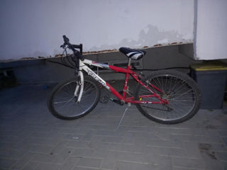 Vand bicicleta foto 3