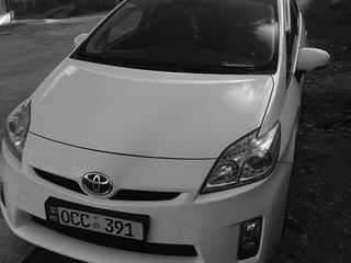 Toyota Prius foto 1