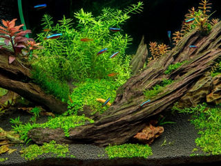 Грунт для аквариума Соил fluval stratum soil 4кг foto 6