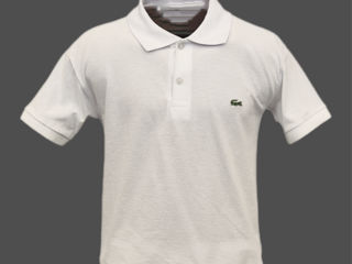 Lacoste foto 7