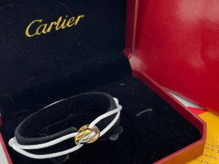 Cartier foto 2