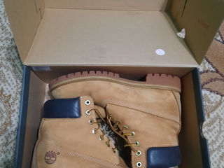 Timberland foto 2