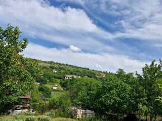 Lot pomicol Sagaidac 12 km de Chișinău foto 5