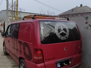 Mercedes Viano foto 6