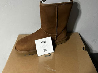 UGG clasic short