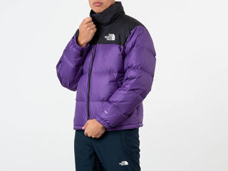 TNF Puffer