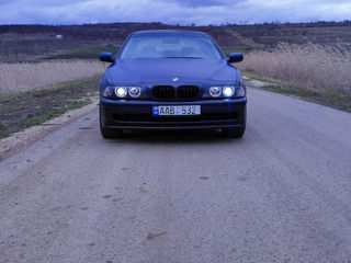 BMW 5 Series foto 3