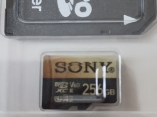 Карты MicroSD Samsung Evo Plus, Sony, 256Gb. Kodak Ultra Perfomance фото 5