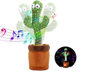 Cactus muzical foto 3