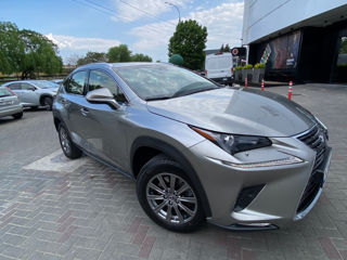 Lexus NX Series