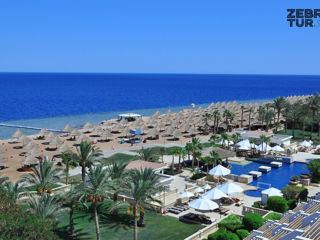 Egipt, Sharm El Sheikh - Sheraton Sharm Hotel, Resort, Villas & Spa 5* foto 5