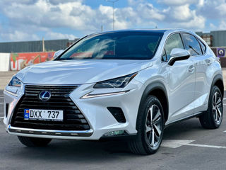 Lexus NX Series