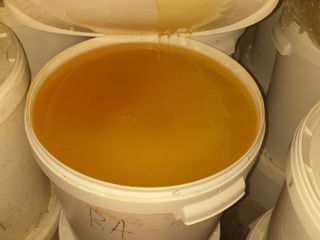 Прадам мед 5 тон цветочного меда 2023-2024 продам акацию 1 тону 2022 года продам майский 2023 500кг
