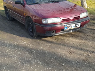 Nissan Primera foto 8