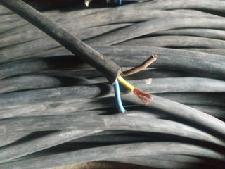 Cablu de gumă 50m 2,5