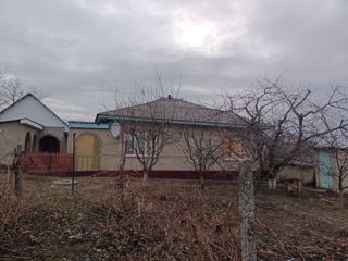 Продаётся дом в селе стурзовка р.глодень (цена договорная ) foto 10