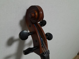 Виолончель, Violoncel foto 3