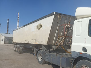 Daf Cf