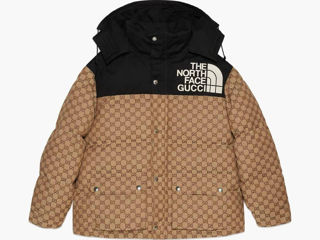 North face gucci