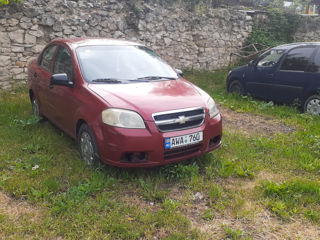 Chevrolet Aveo фото 1