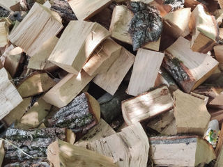 Продам дрова vînd lemne foto 2