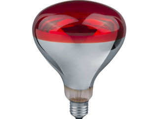 Emițător termic, lampă cu infraroșu pentru încălzirea păsărilor și animalelor ICKPA, reflector R125, foto 4