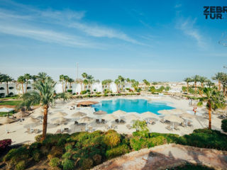 Egipt, Sharm El Sheikh - Domina Coral Bay Bellavista 5* foto 2