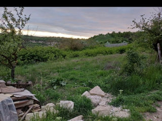 Vând teren 7 ari la Criuleni, aproape de Făurești, Ciorescu foto 4