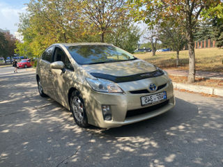 Прокат автомобилей foto 1