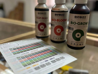 Комплект удобрений Biobizz Bio Grow Bio Bloom Top Max, органические удобрения Biobizz foto 2